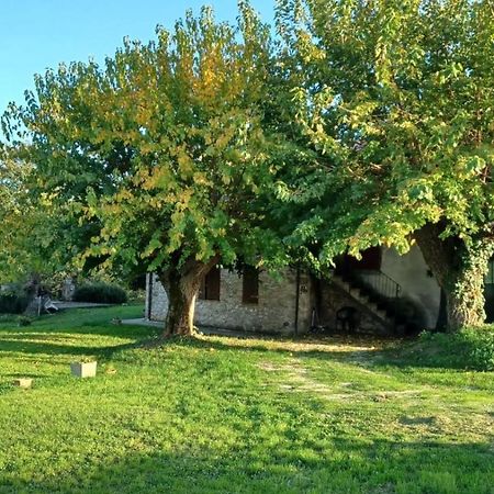 Agriturismo Canonici Amelia Exteriér fotografie