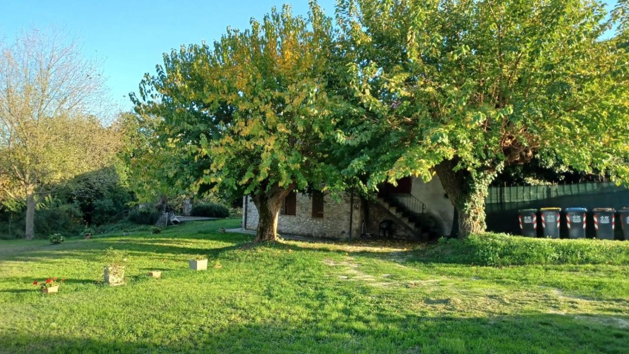 Agriturismo Canonici Amelia Exteriér fotografie